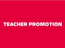 GES Director II and Director I Applications: About 800 Applicants Asked to Reconfirm Contact Details